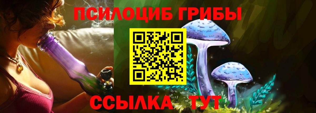 купить наркоту  Вход с VPN  Феодосия  Псилоцибиновые грибы ЛСД  Псилоцибиновые грибы мухоморы 